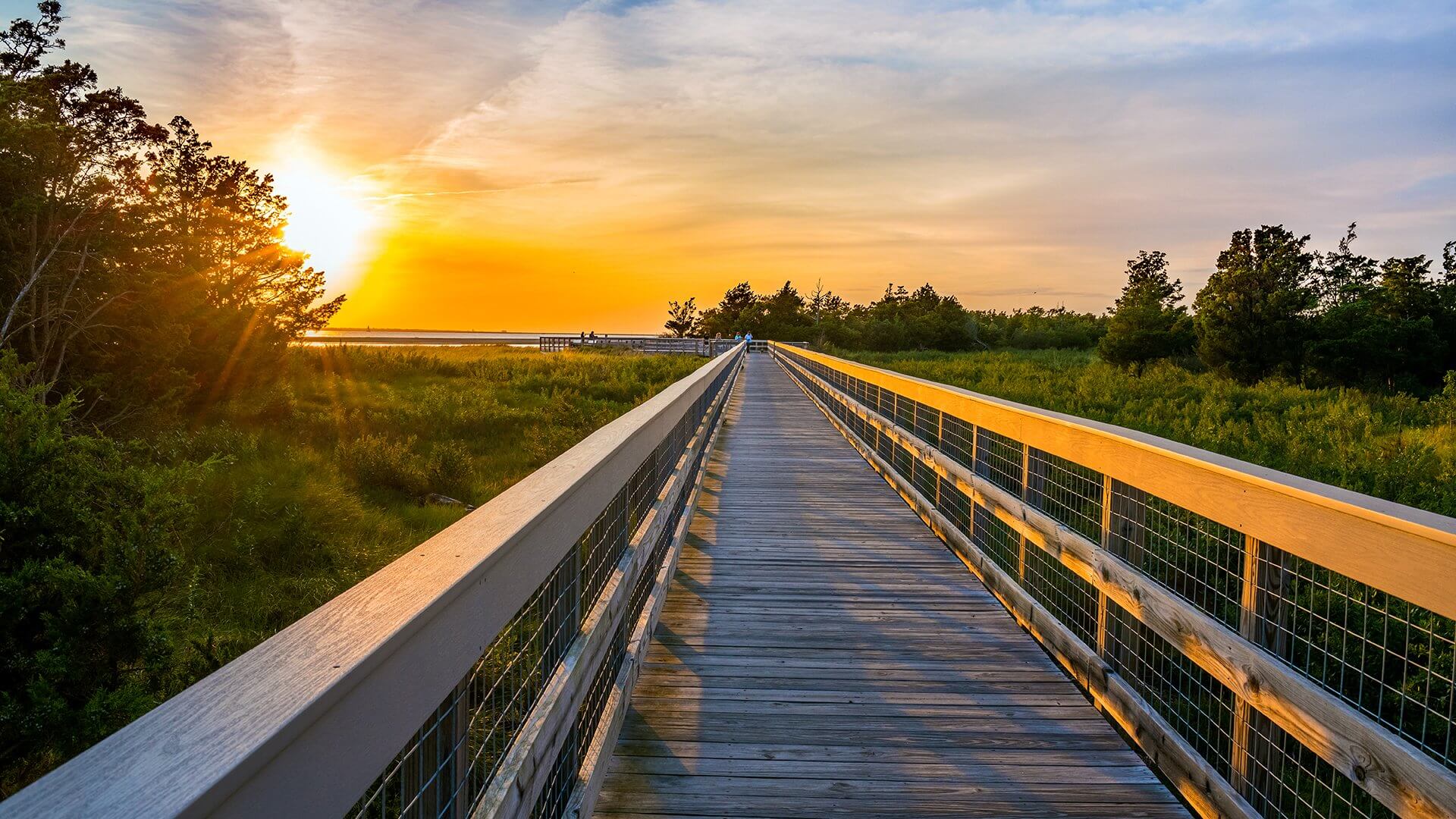 Sandy Hook Bay