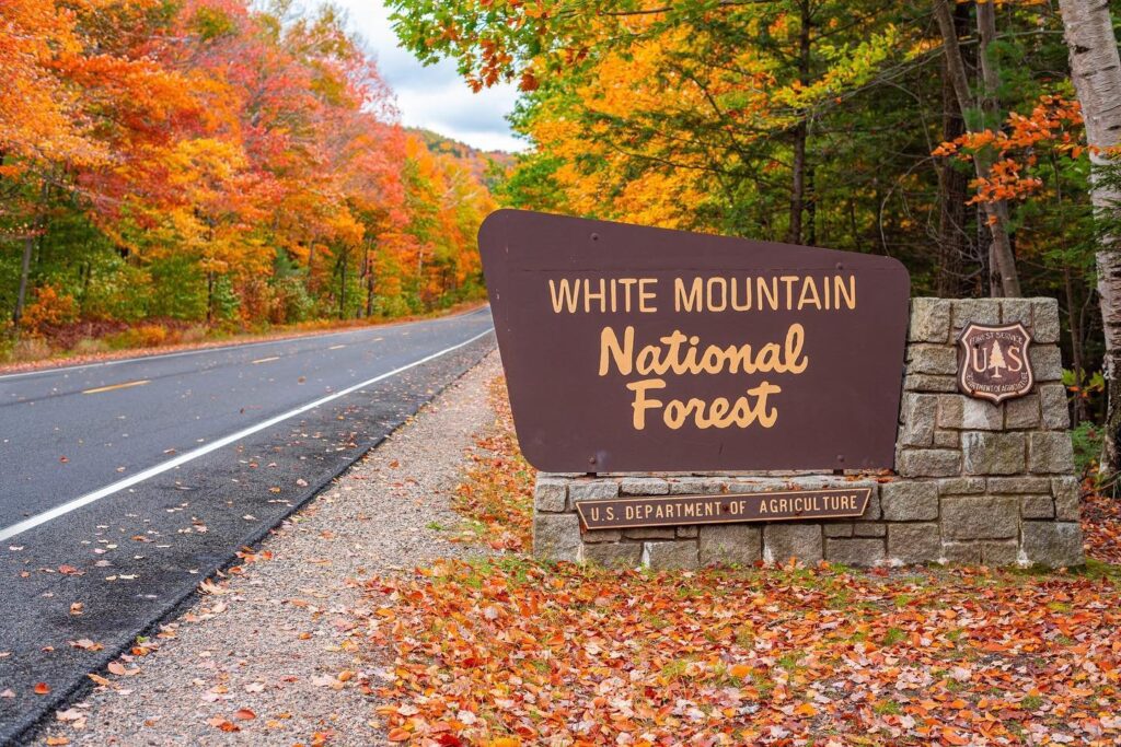 White Mountains National Forest