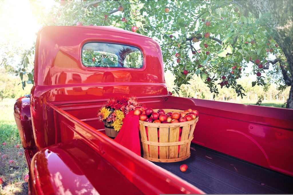Catskills pick-your-own orchard