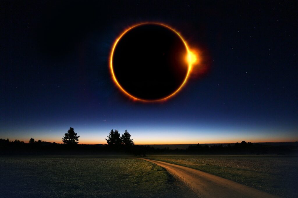 Where can I see it? What is the path?