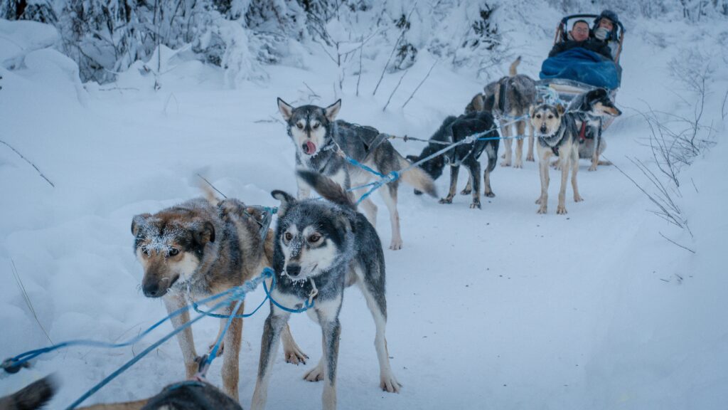 Fairbanks, Alaska