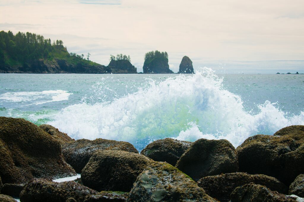 Olympic Peninsula