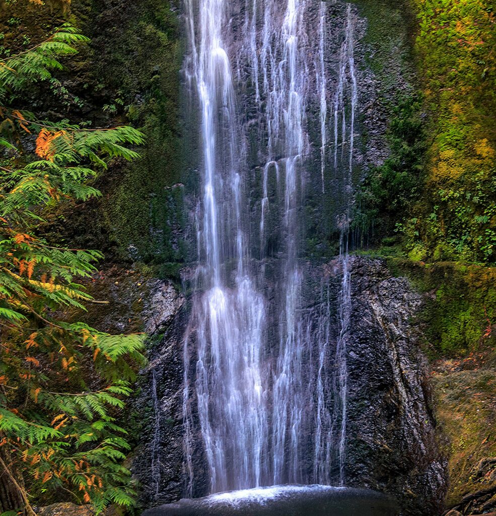 Olympic Peninsula, Washington