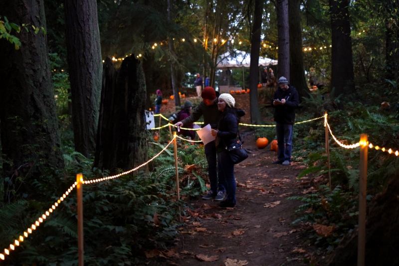 Celebration of Shadows Fall Festival on the Olympic Peninsula, Washington