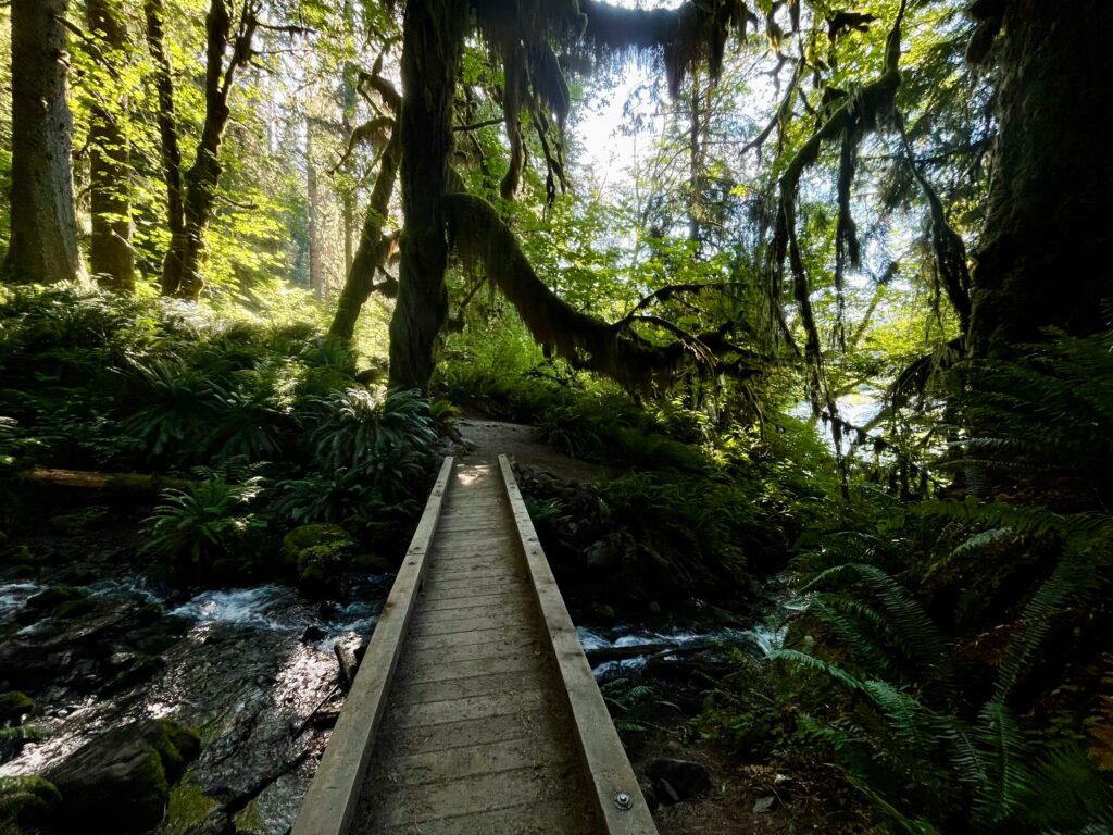 Olympic Peninsula