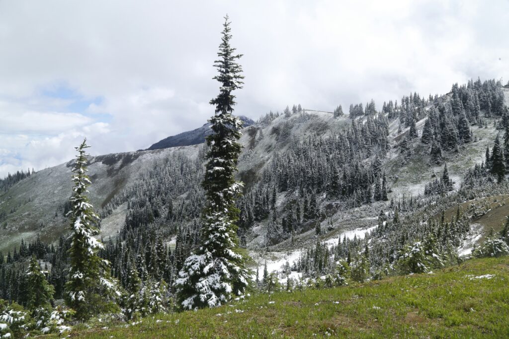 Olympic Peninsula, Washington