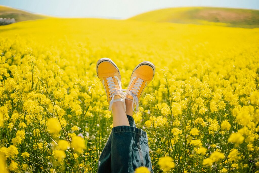Stop and Smell the Wildflowers
