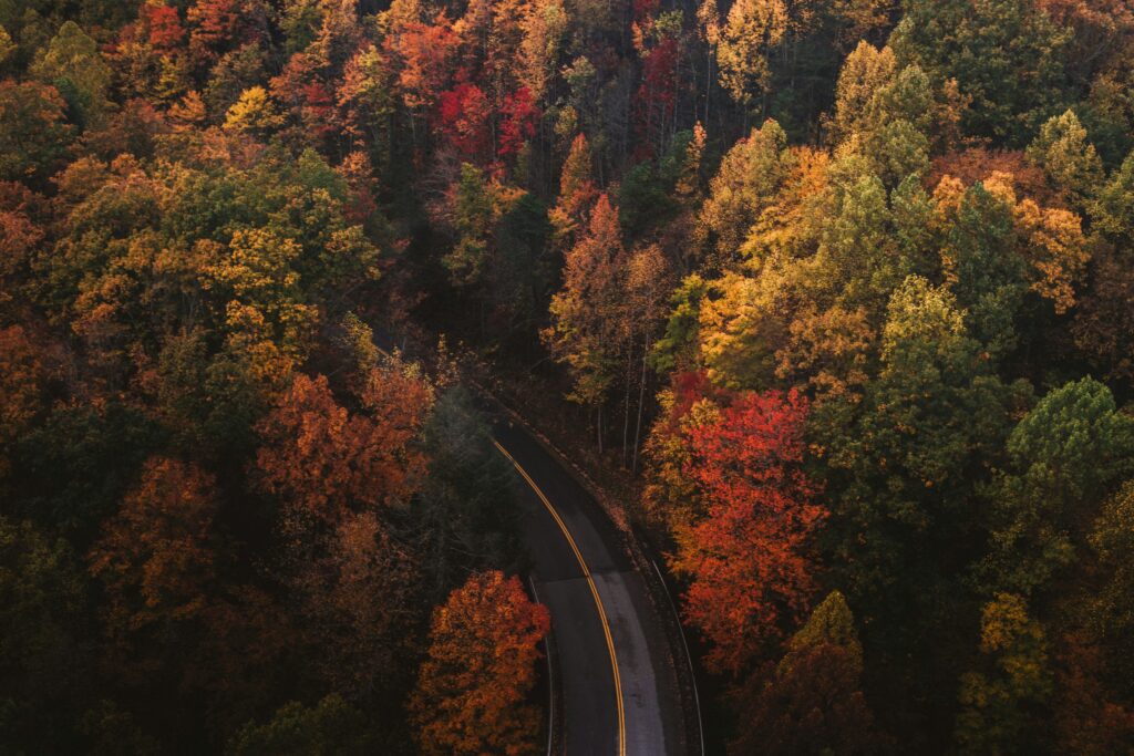 Greater Smokies Region 