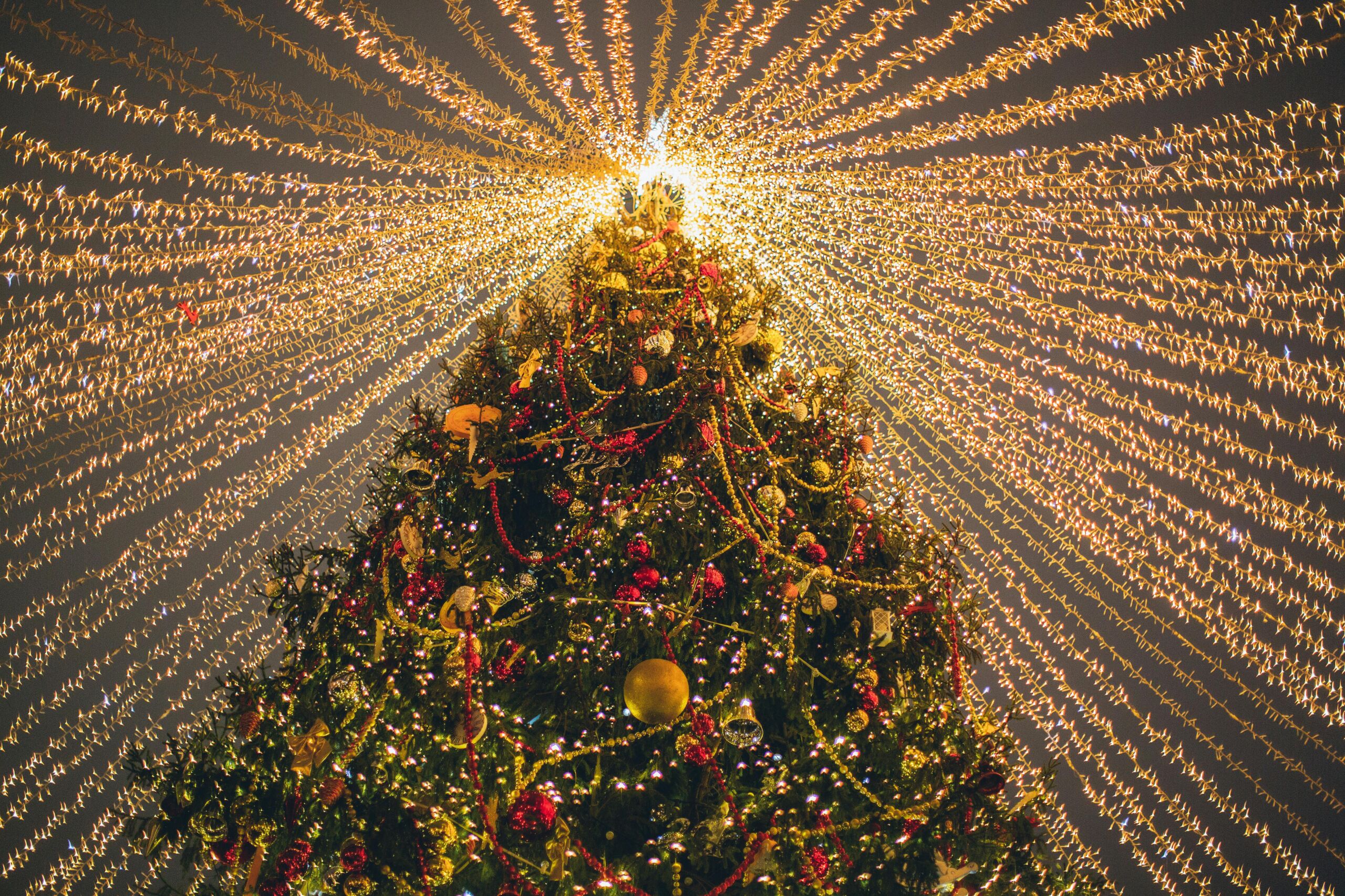Awe-Inspiring Light Displays to Check Out This Holiday Season