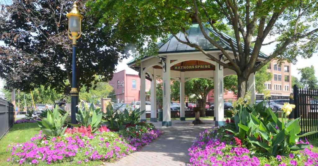  Saratoga Mineral Springs 
